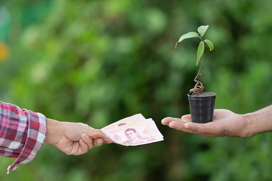 One hand giving money, the other hand offering a plant