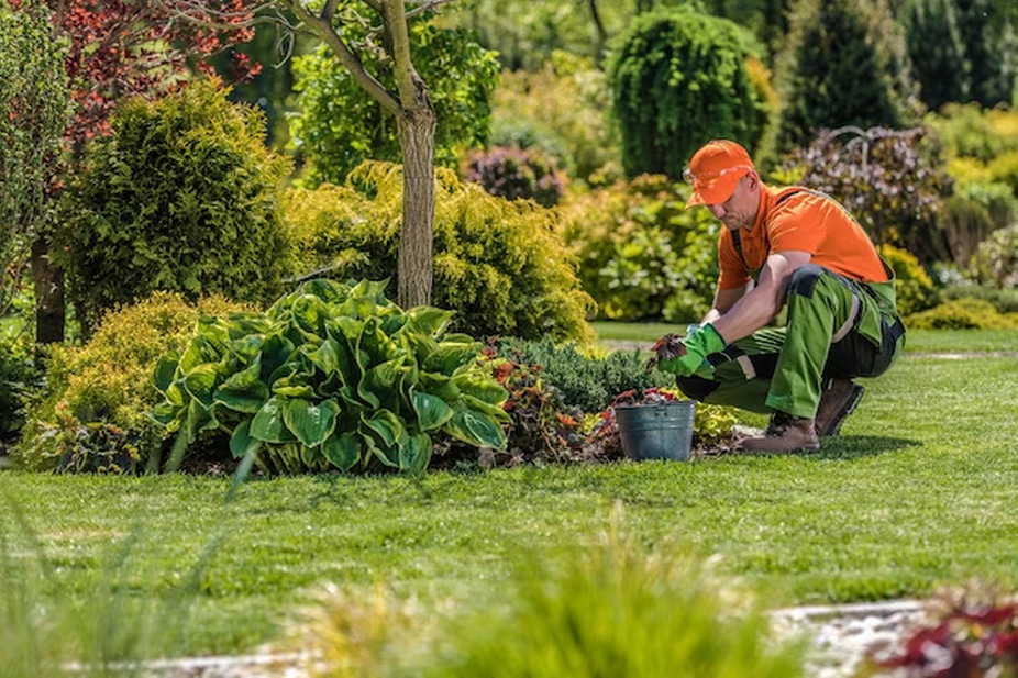 Decoding Gratuity: The Art of Tipping for One-Time Landscaping Jobs