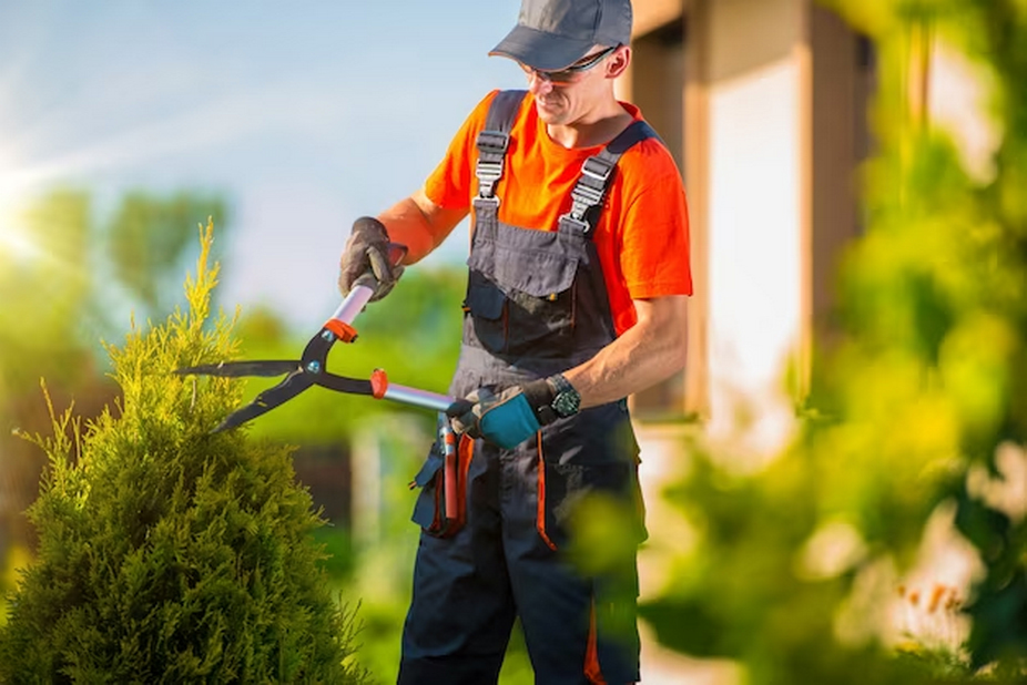 Gardener Trimming Bushes