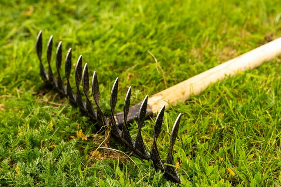 Unraveling the Mysteries of the Landscaping Rake: Your Essential Guide