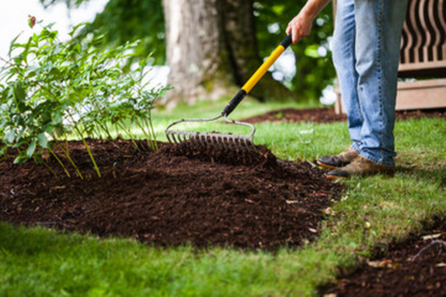 Man Digging Soil with Garden Rake