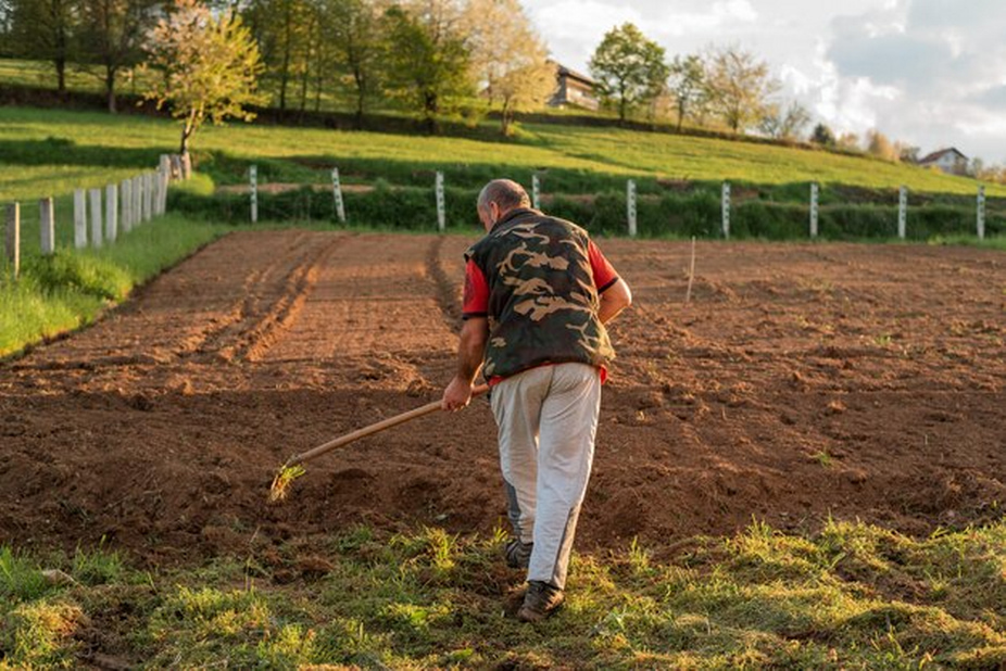 Person raking soil in an empty landscape